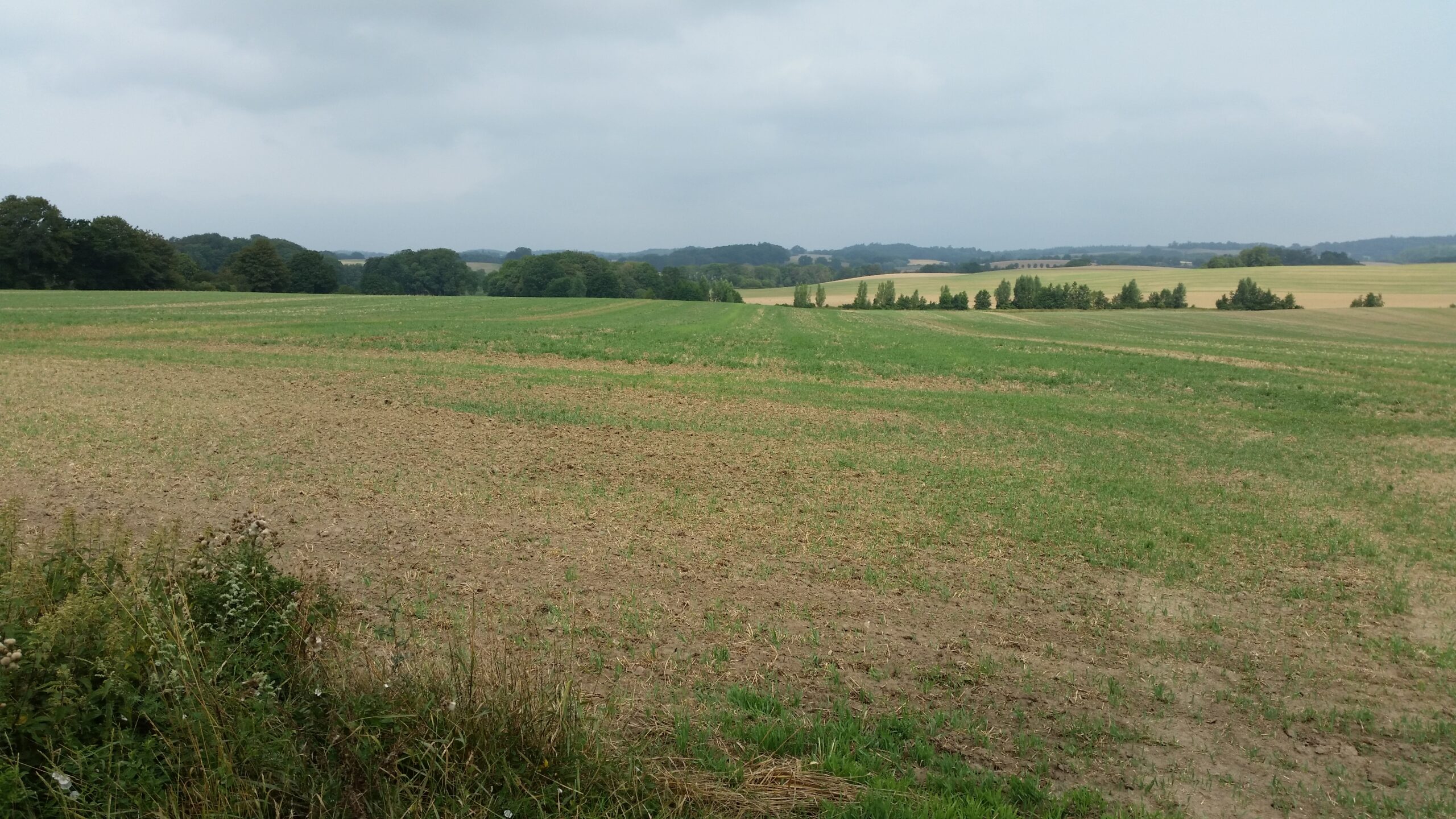 Mecklenburgische Seenplatte