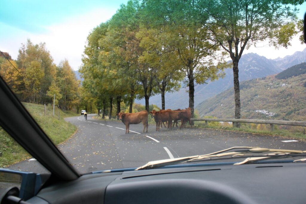 Col de la Madeleine