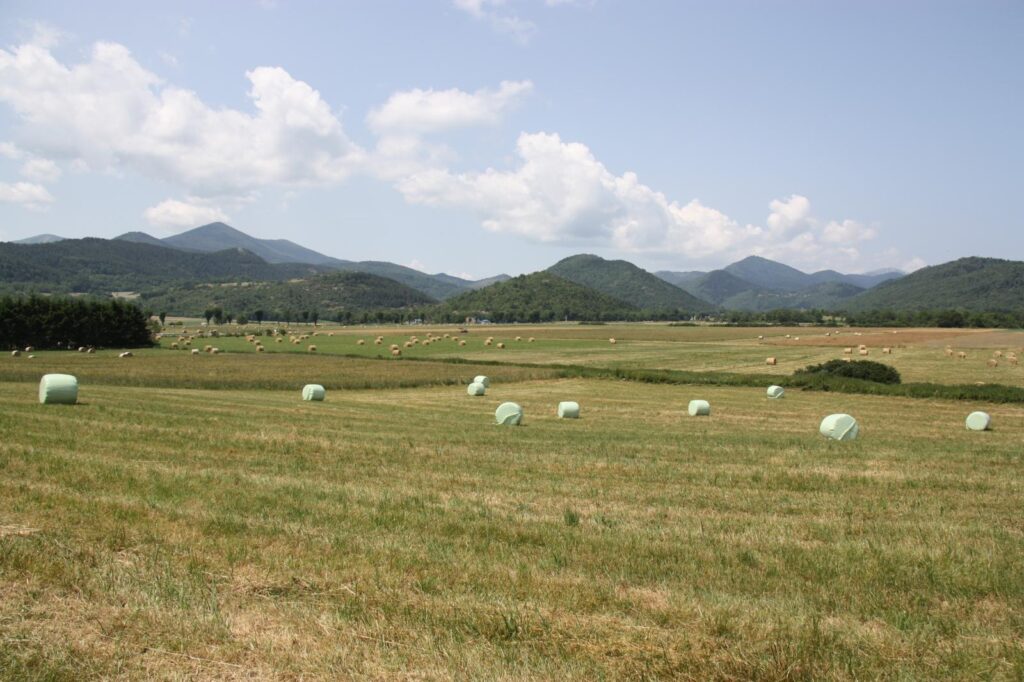 Plateau de Sault