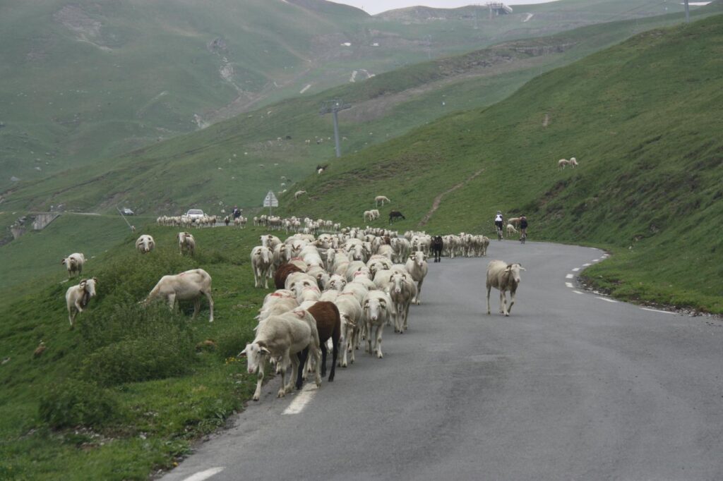 Col du Tourmalet